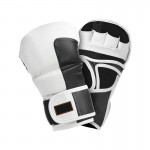 MMA Gloves