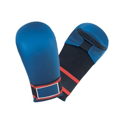 Karate Mitt